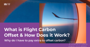 What is Flight Carbon Offset & How Does it Work?