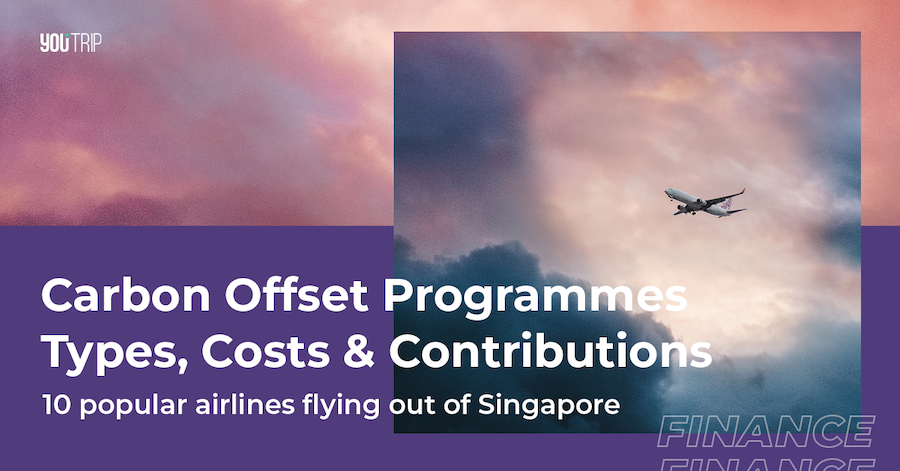 Carbon Offset Programme Types, Costs & Contributions