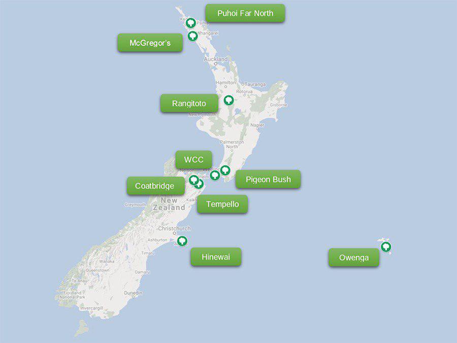 Air New Zealand ClimateCare Forest Restoration Projects Carbon Offset