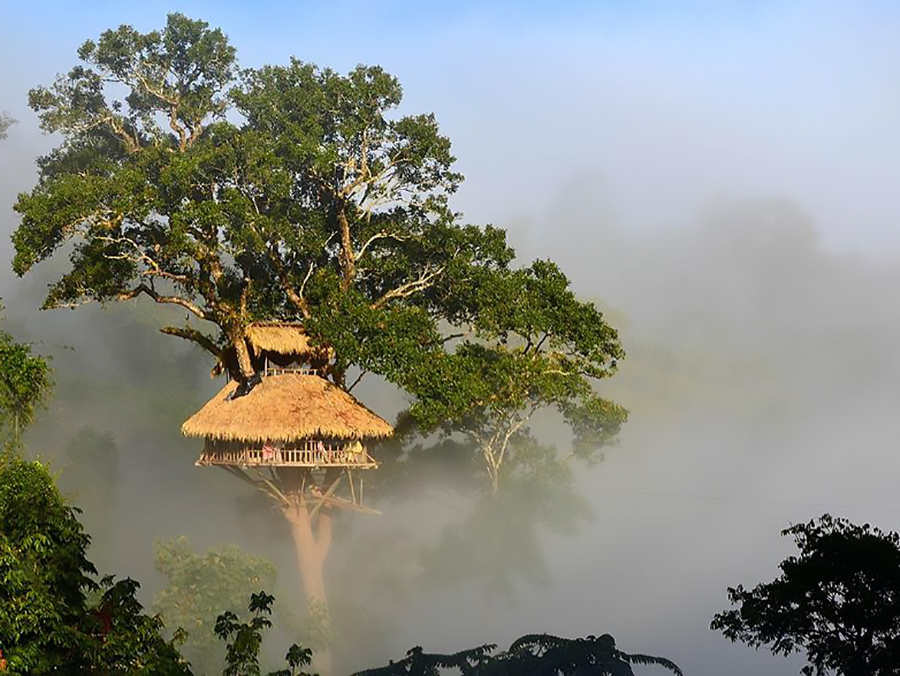 The Gibbon Experience, Laos﻿