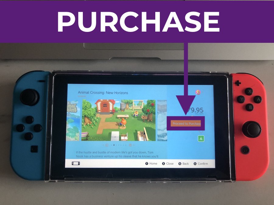 Cheapest Animal Crossing: New Horizons Guide: Access eShop on Nintendo Switch