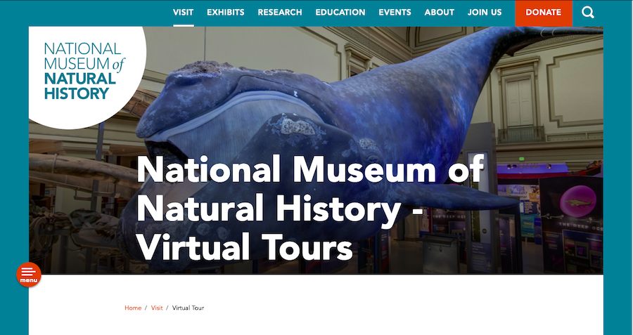 The National Museum of Natural History Virtual Tour