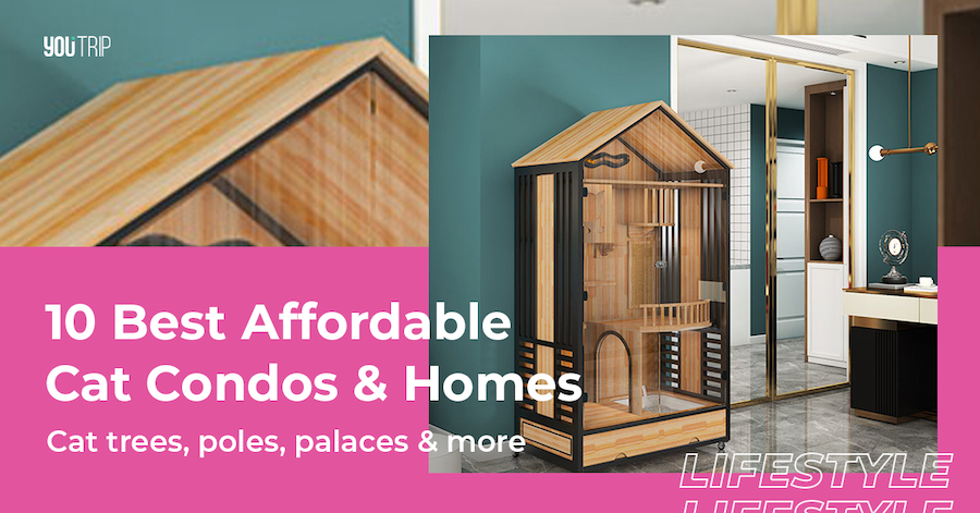 10 Best Affordable Cat Condos & Houses From Taobao