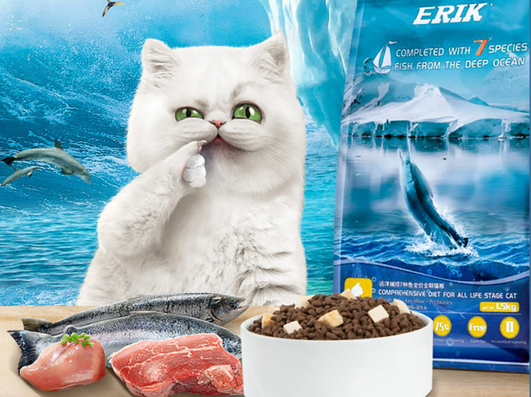10 Best Cat Food Brands From Taobao Wet & Dry Food Blog YouTrip