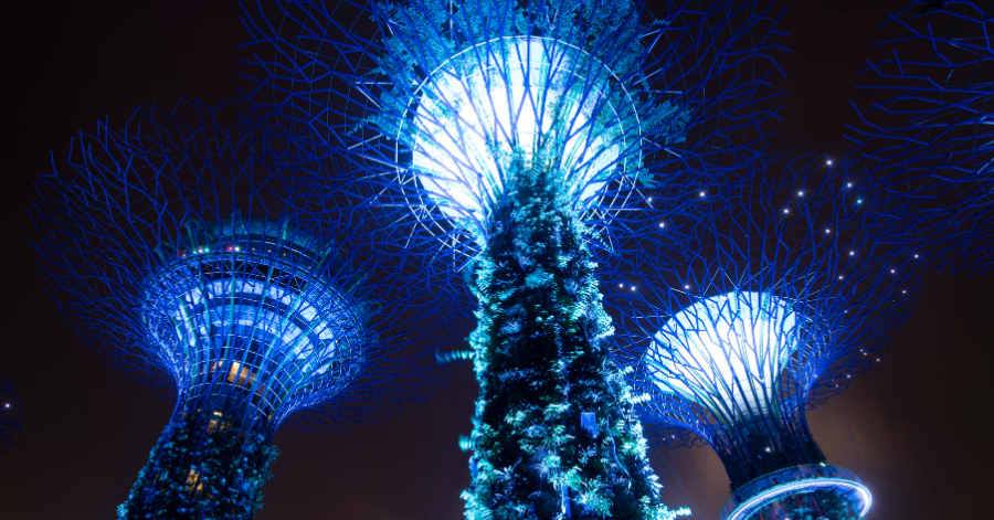 UOB Mighty FX Review 2025: Rates, Fees & Benefits