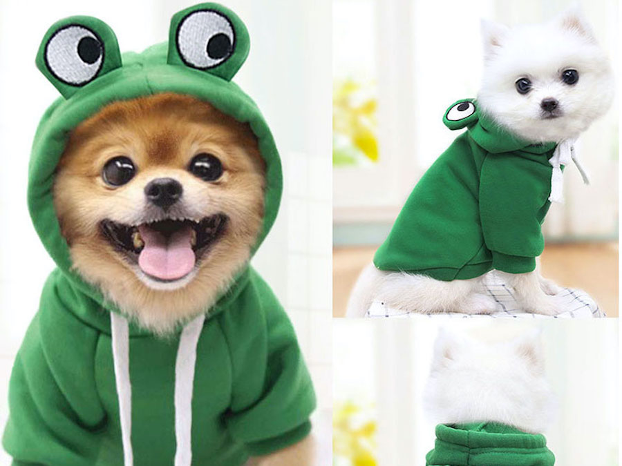 8 Best Pet Clothing Stores From Taobao For The Cutest Dogs, Cats & More