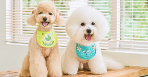 8 Best Pet Clothing Stores From Taobao For The Cutest Dogs, Cats & More