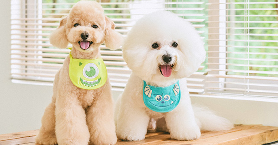 8 Best Pet Clothing Stores From Taobao For The Cutest Dogs, Cats & More