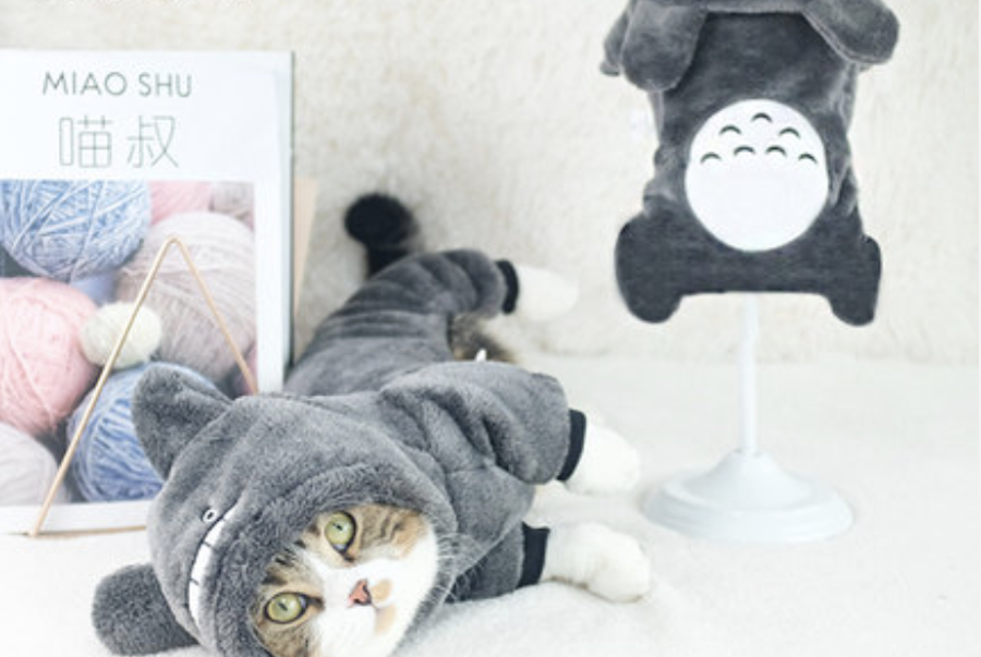 8 Best Pet Clothing Stores From Taobao For The Cutest Dogs, Cats & More