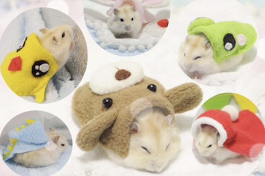 8 Best Pet Clothing Stores From Taobao For The Cutest Dogs, Cats & More