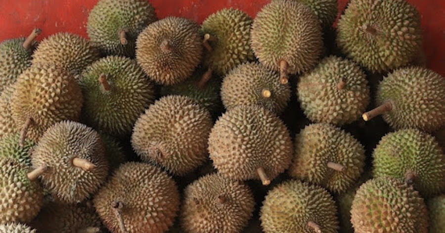 Durian Delivery Services Singapore: Which is the Cheapest? (2021)