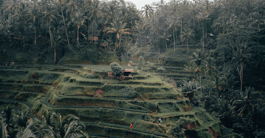 All You Need To Know About Bali VTL 2022
