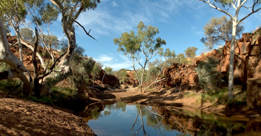 Best Western Australia Day Trips From Perth Not To Be Missed