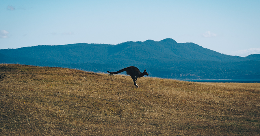 YouTrip's Guide To Exotic Food In Australia 