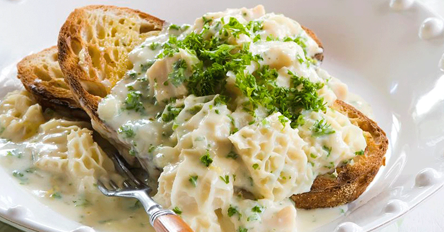 YouTrip's UK Food Guide: What To Eat In England