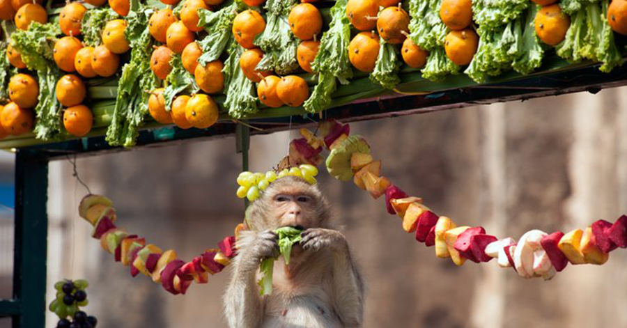 Major Thailand Festivals You Have To Experience