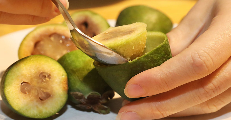 YouTrip's New Zealand Food Guide: How To Eat Like A Kiwi