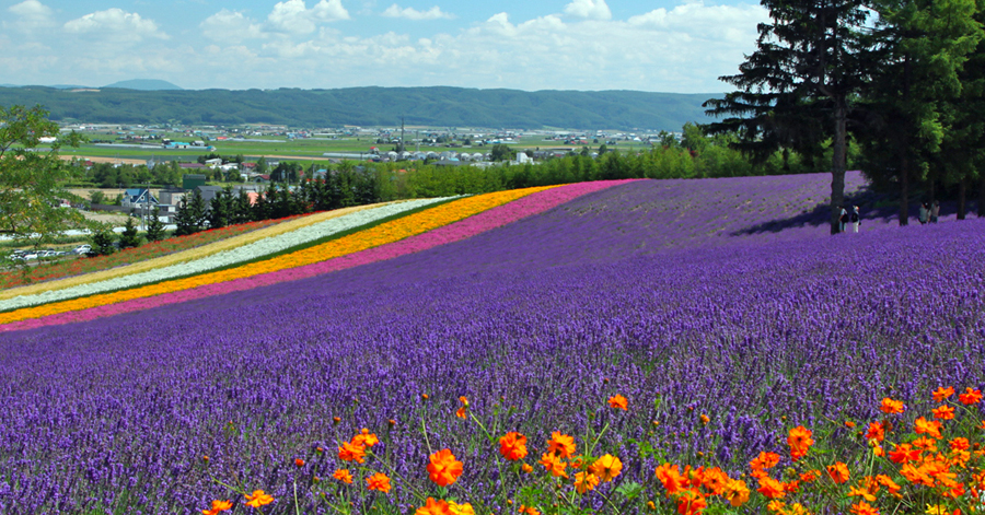 Your Travel Bucket List: Best Things To Do In Hokkaido, Japan 2022