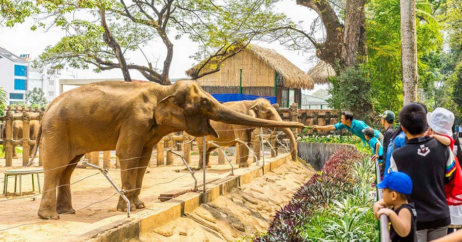 Things To Do In Ho Chi Minh City - Saigon Zoo & Botanical Gardens