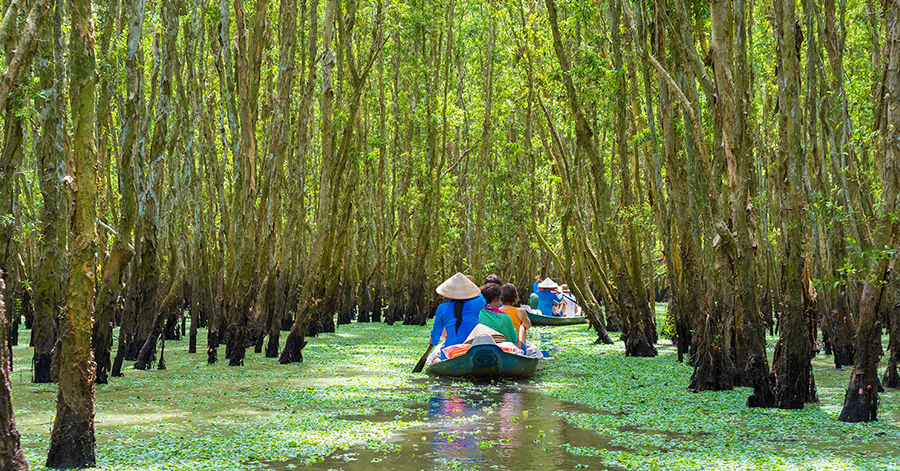 Things To Do In Ho Chi Minh City - Can Gio Mangrove Biosphere Reserve