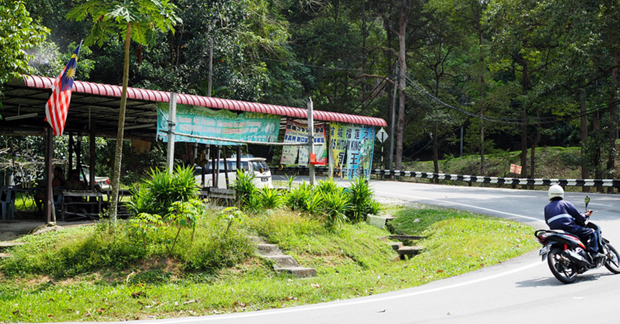 YouTrip's Guide To The Best Penang Durian Stalls 2022