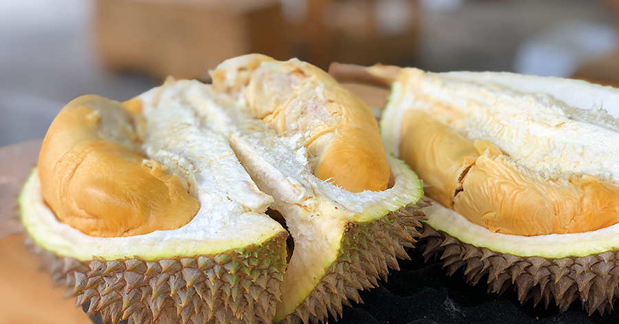 YouTrip's Guide To The Best Penang Durian Stalls 2022