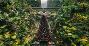 Top Places To Celebrate Christmas In Singapore 2022
