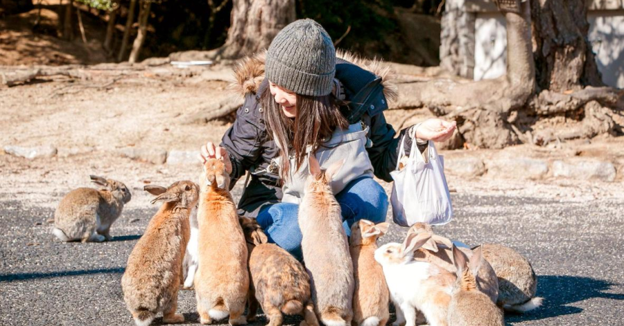YouTrip's Guide To Visiting Japan's Rabbit Island 2023