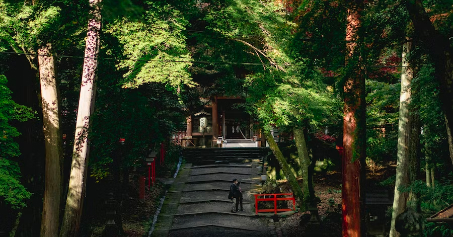 YouTrip's Japan Bucket List: Best Things To Do In Kyoto & Osaka 2023