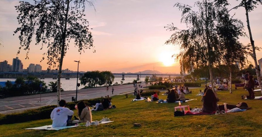 Seoul Through A Different Lens: 10 Unique Things To Do In Seoul 2023