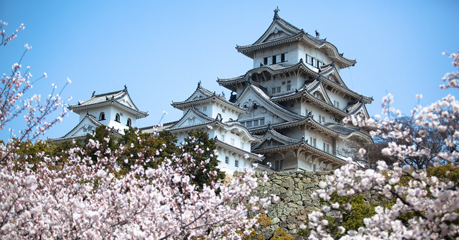 YouTrip's Japan Bucket List: Best Things To Do In Tokyo 2023