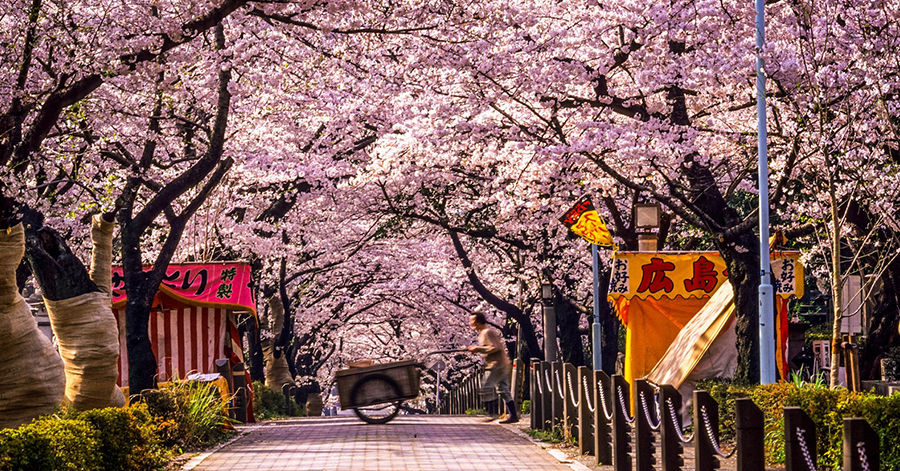 YouTrip's Japan Bucket List: Best Things To Do In Tokyo 2023