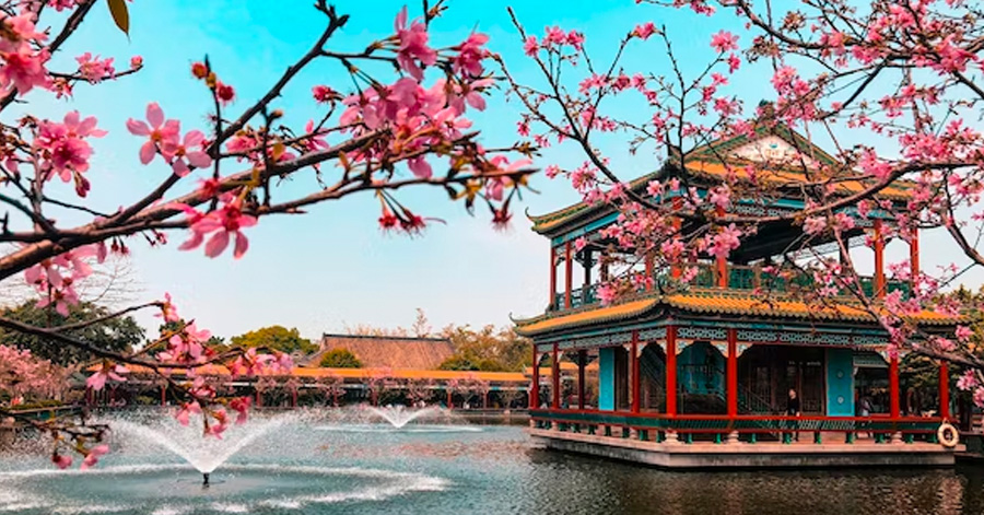 Best Things To Do In Guangzhou, China 2023