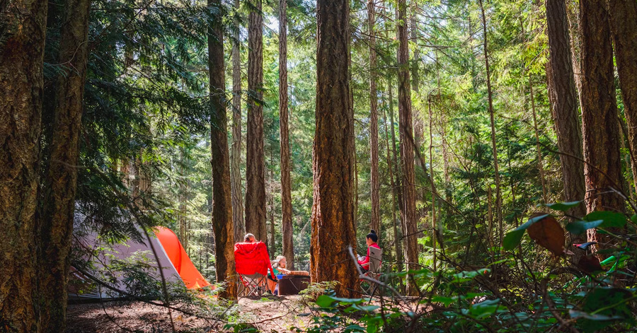 Camping Sites Around The World For The Nature-Friendly Family