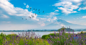 Flower Festivals In Japan To Look Forward To 2023