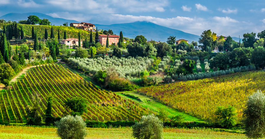 The Best Wine Regions In Europe To Visit This June