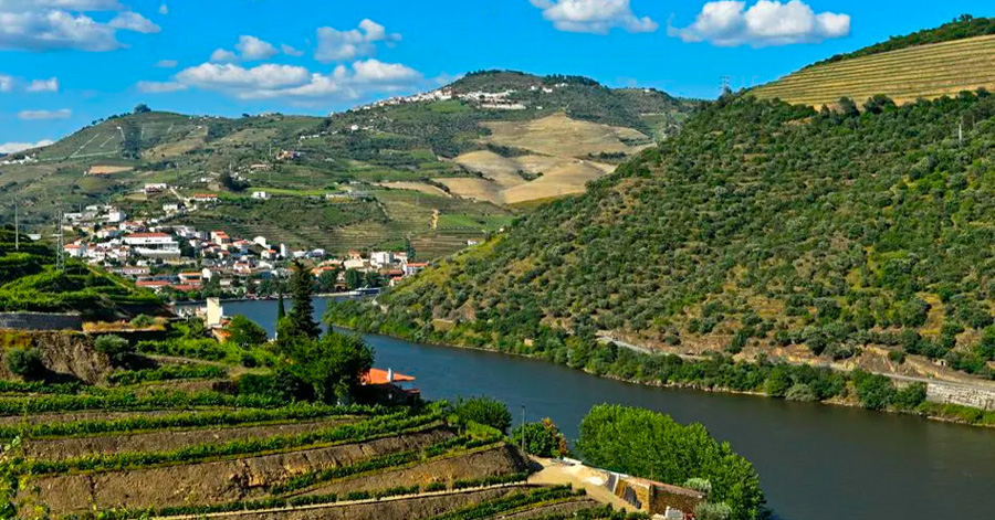 The Best Wine Regions In Europe To Visit This June