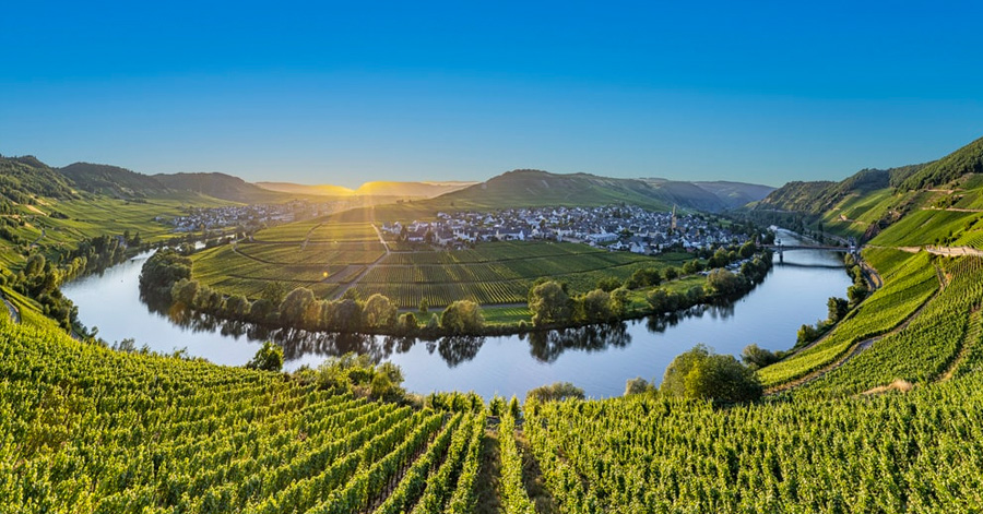 The Best Wine Regions In Europe To Visit This June