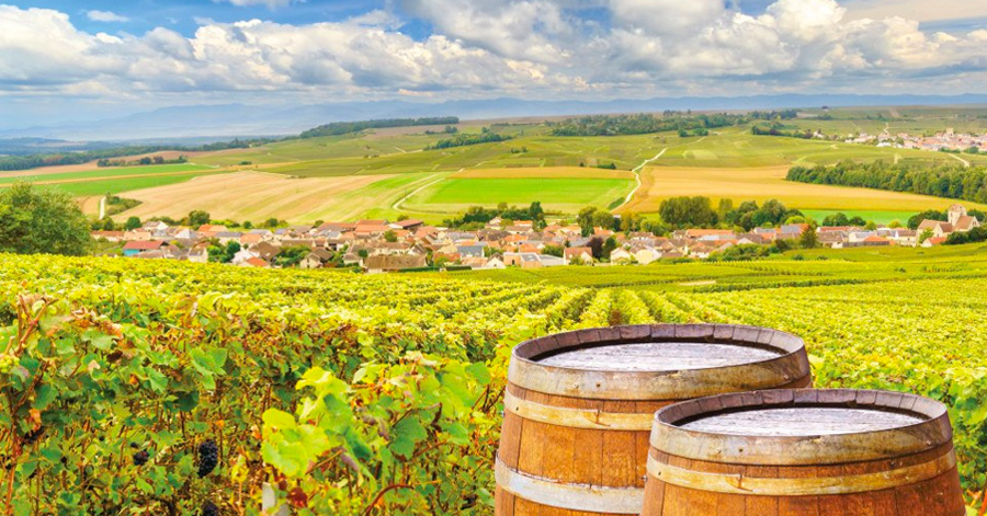 The Best Wine Regions In Europe To Visit This June