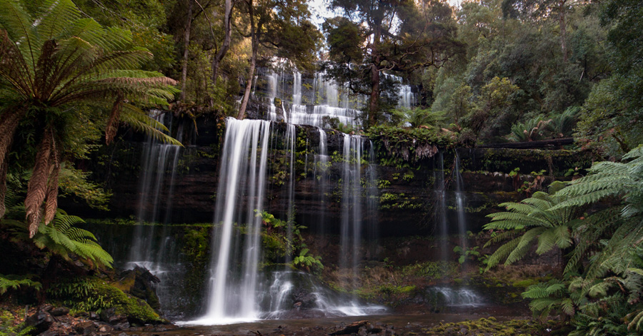 The Ultimate 7-Day Tasmania Road Trip Itinerary 2023