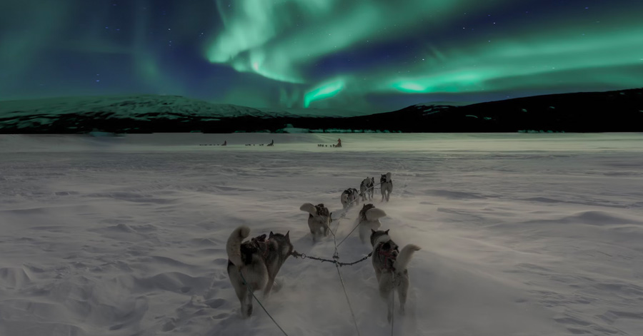 Everything You Need To Know About Seeing The Northern Lights In Norway