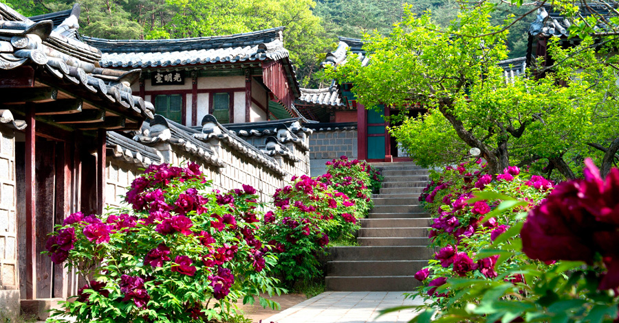 The Best South Korea Autumn Destinations 2023