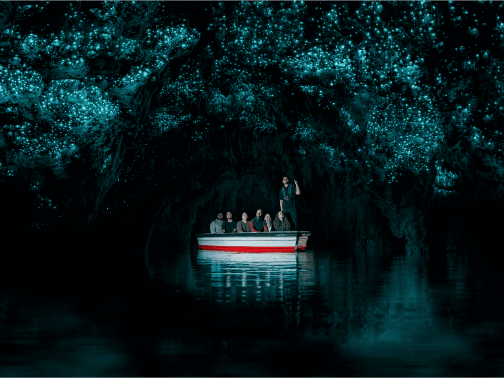 Things To Do In New Zealand: Waitomo Glowworm Caves