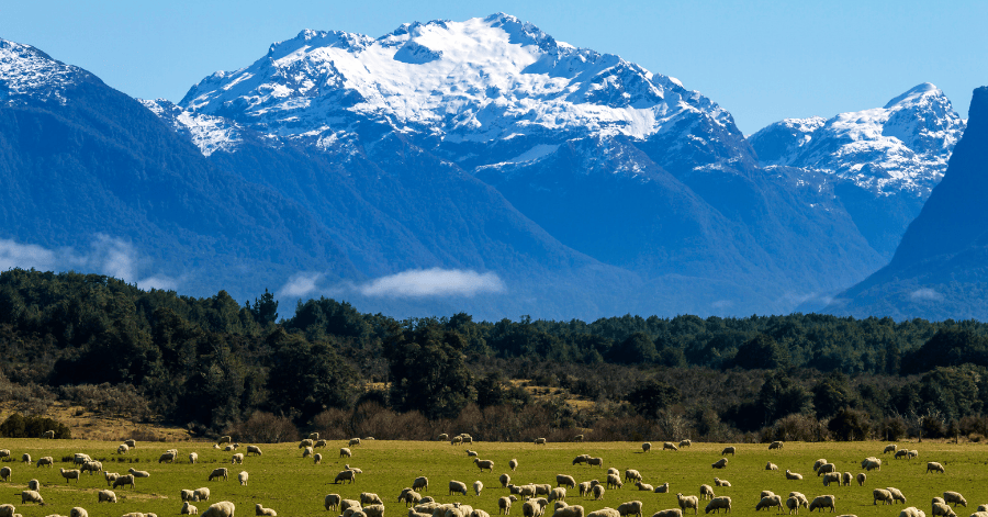 Things To Do In New Zealand: The Ultimate Travel Guide (2026)