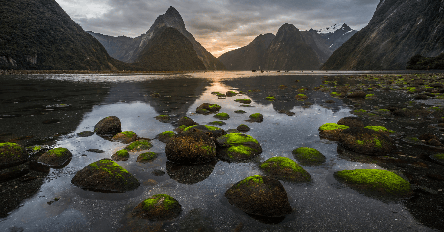 Things To Do In New Zealand