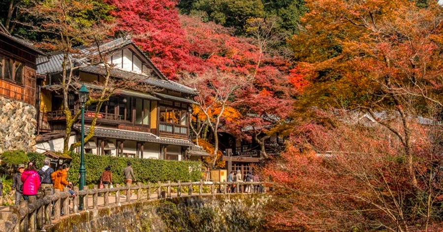 The Best Japan Autumn Destinations To Visit 2023