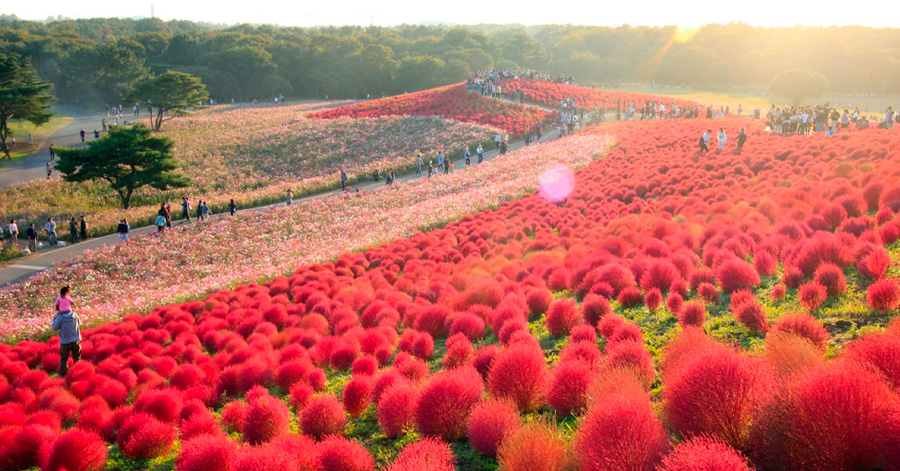 The Best Japan Autumn Destinations To Visit 2023