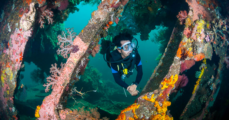 YouTrip's Guide To The Best Scuba Diving Sites In Asia