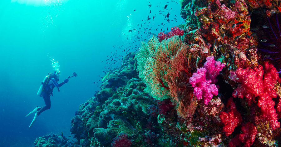 YouTrip's Guide To The Best Scuba Diving Sites In Asia