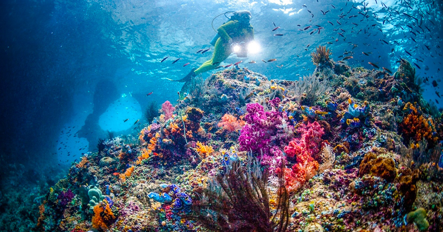 YouTrip's Guide To The Best Scuba Diving Sites In Asia